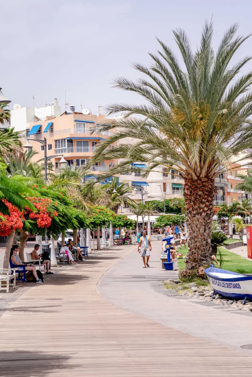 Palm-lined seafront promenade in Los Cristianos with flowering trees, apartment blocks and a small boat marked Playa Los Cristianos