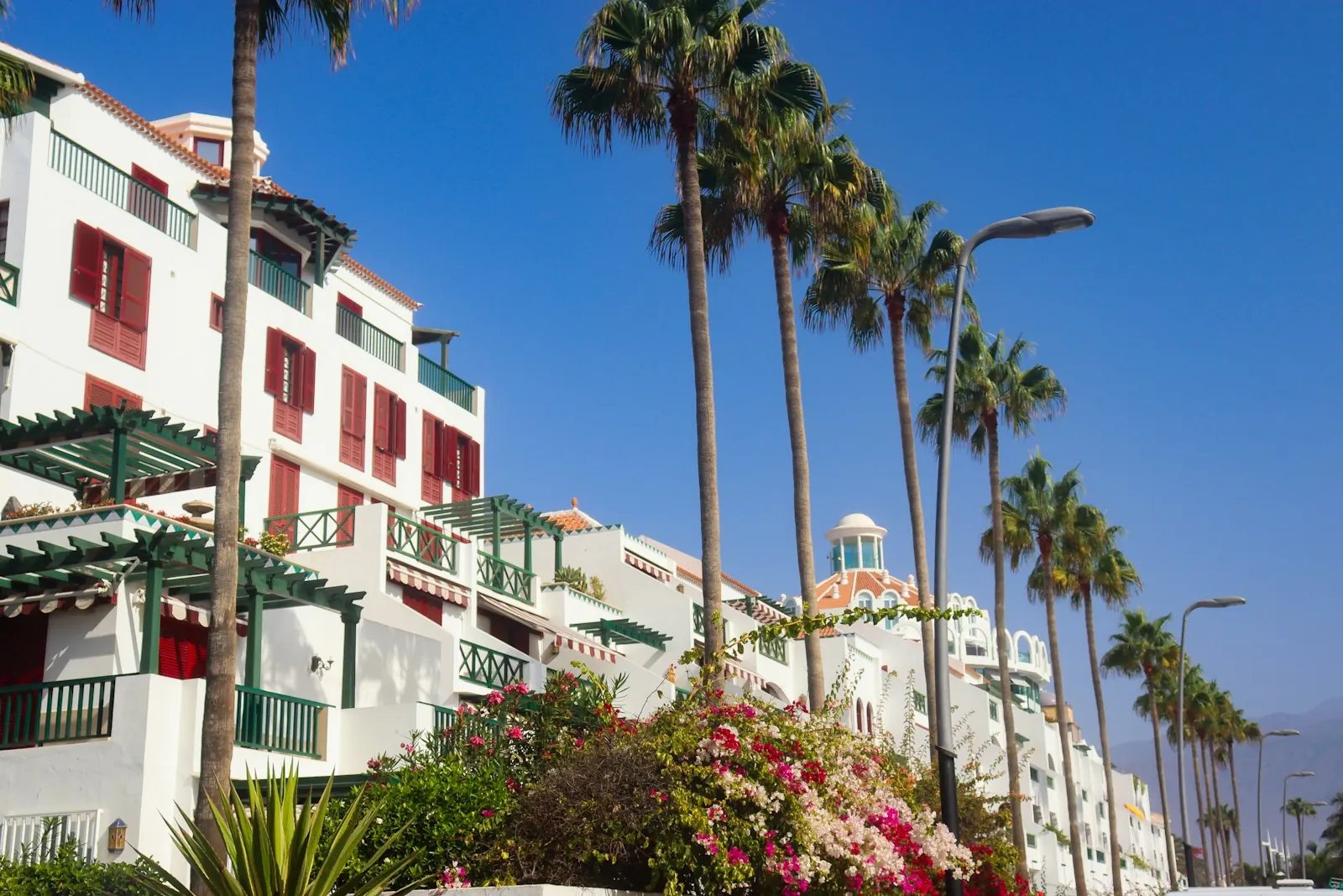 White apartment building with red shutters and green balconies behind a row of palm trees and bougainvillea in Playa de las Américas