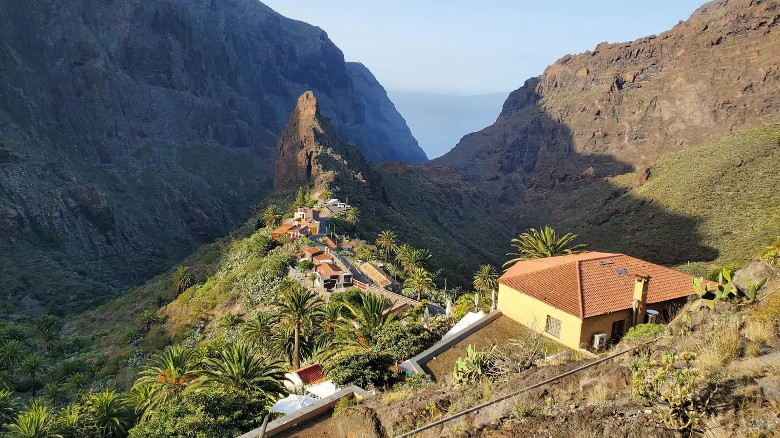 Masca village on its ridge in the Teno mountains, with palm trees and the gorge opening towards the sea