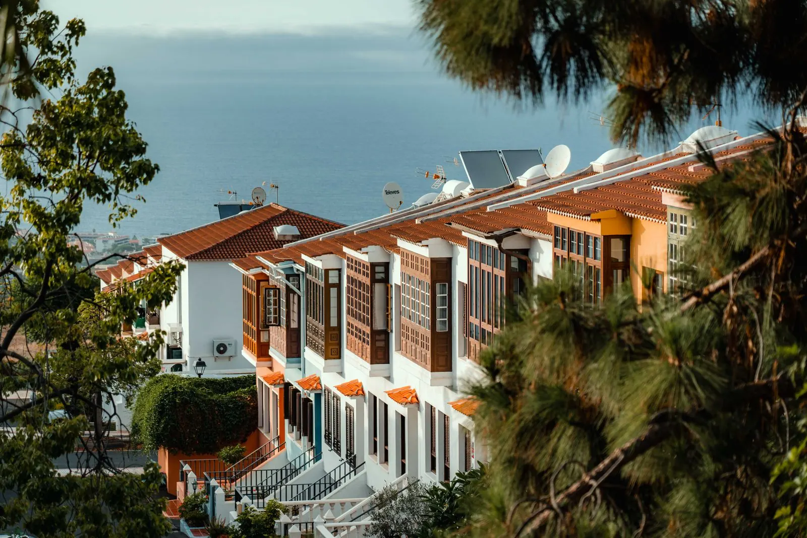 Row of white townhouses with wooden Canarian balconies and tiled roofs on a slope above the sea in La Orotava, Tenerife, framed by pine branches