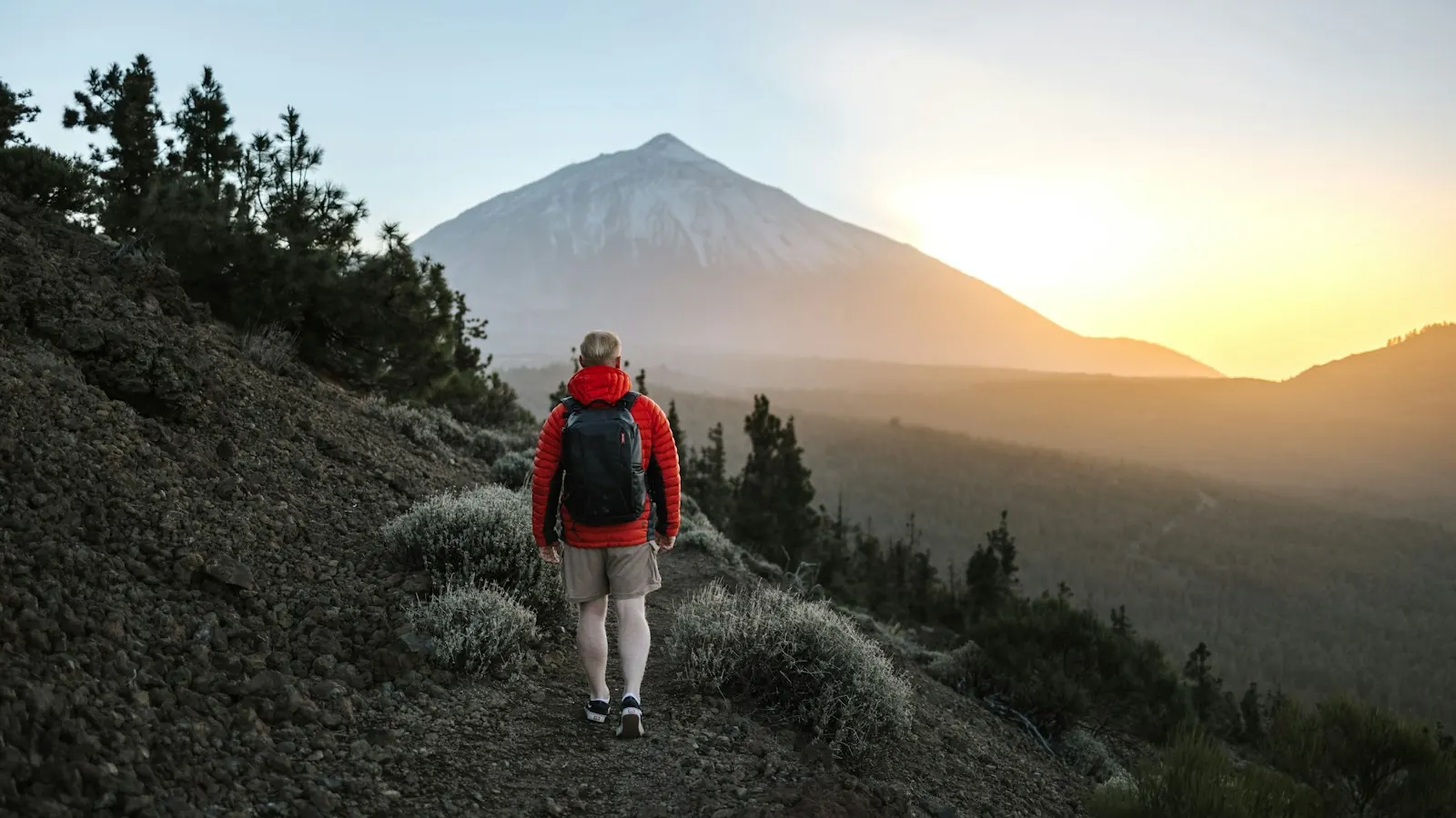 Hiker in a red jacket walking a volcanic trail through Canary pines towards Mount Teide at sunset