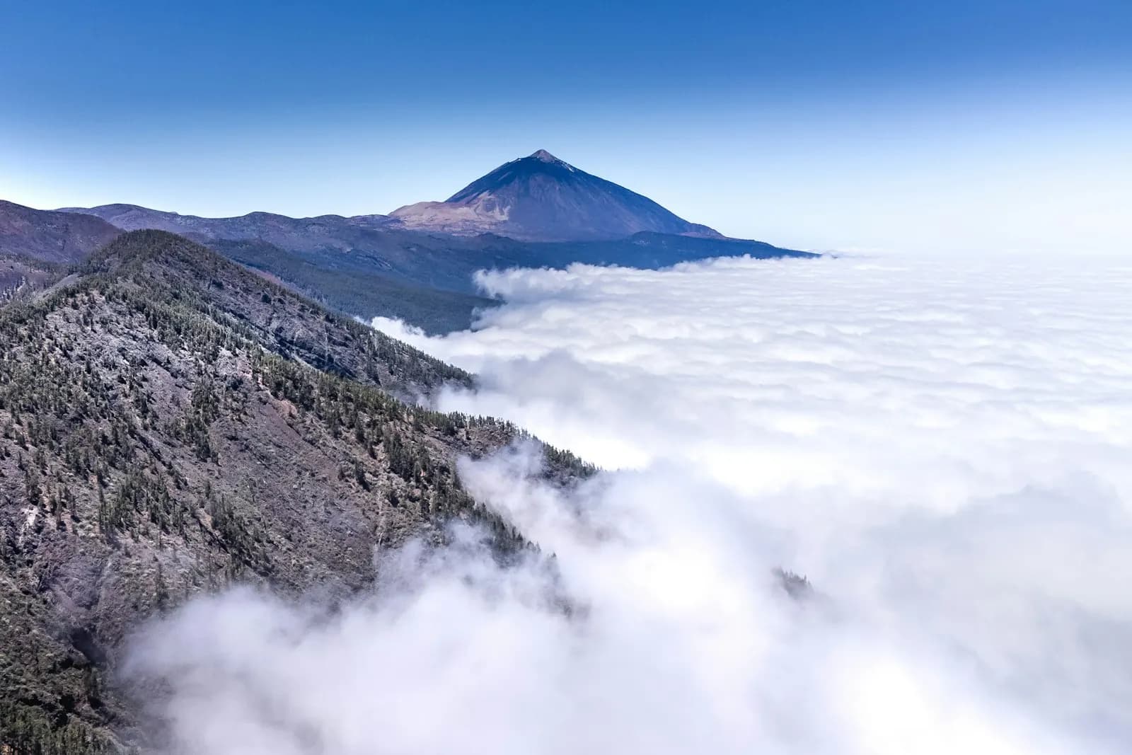 Mare di nuvole addossato ai versanti settentrionali coperti di pini, con il Teide che svetta limpido al di sopra